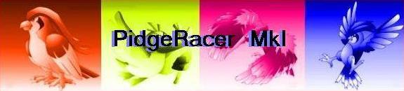 Original Pidgeracer logo